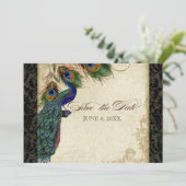 Save The Date Peacock & Feathers Formal Enregistrer la date Tan  (Debout devant)