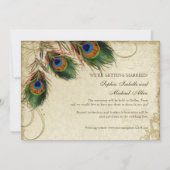 Save The Date Peacock & Feathers Formal Enregistrer la date Tan  (Dos)