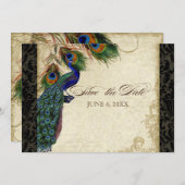 Save The Date Peacock & Feathers Formal Enregistrer la date Tan  (Devant / Derrière)