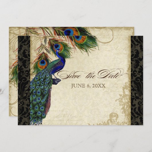 Save The Date Peacock & Feathers Formal Enregistrer la date Tan (Devant / Derrière)