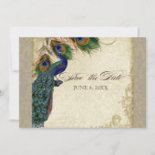 Save The Date Peacock & Feathers Formal Enregistrer la date Taup (Devant)