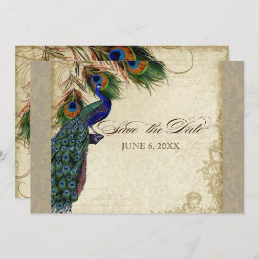 Save The Date Peacock & Feathers Formal Enregistrer la date Taup (Devant / Derrière)