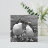 Save The Date Penguin Colour Splash (Debout devant)