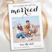 Save The Date Personnalisé Mariage animal de compagnie Simple Ch