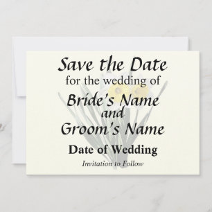 Save The Date Petit Narcisse Timide