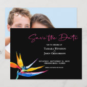 Save The Date Photo Dark Tropical Bird of Paradise Beach Wedding (Devant / Derrière)