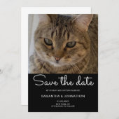Save The Date Photo de chat de mariage (Devant / Derrière)