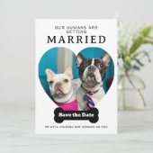 Save The Date Photo Drôle De Chien Nos Humains Se Marient (Debout devant)