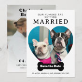 Save The Date Photo Drôle De Chien Nos Humains Se Marient (Devant / Derrière)