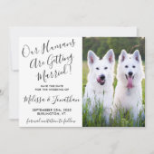 Save The Date Photo moderne Chiens personnalisés Photo Mariage a (Devant)