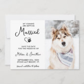 Save The Date Photo pour animaux de compagnie moderne Calligraph (Devant)