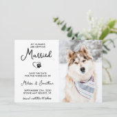 Save The Date Photo pour animaux de compagnie moderne Calligraph (Debout devant)