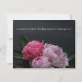 Save The Date Pies roses sur arrière - plan foncé (Dos)