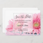 Save The Date Pink Gerbera Daisies Elegant Photo (Devant / Derrière)