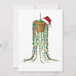 Save The Date Plante grasse Chapeau de Père Noël Lumières Plante