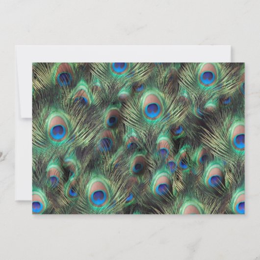 Save The Date Plume de Paon Doré Photo Enregistrer la Date (Dos)