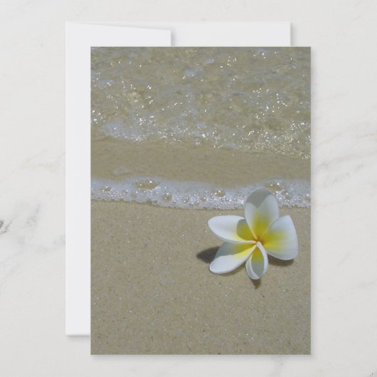 Save The Date Plumeria Frangipani Au Mariage De Sable Enregistre (Dos)
