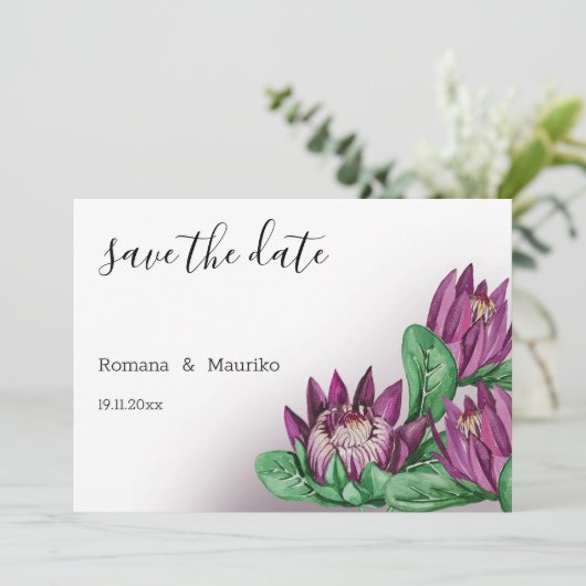 Save The Date Protea King Protea (Debout devant)