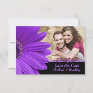 Save The Date Purple Gerbera Daisy Black Photo Mariage