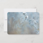 Save The Date Red Cardinal dans Winter Nature Photo de Christmas (Dos)