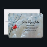 Save The Date Red Cardinal dans Winter Nature Photo de Christmas<br><div class="desc">Enregistrez la carte de date pour une fête de Noël avec une photo nature pittoresque montrant un cardinal rouge vif. Contrasté sur fond d'hiver avec feuillage couvert de neige.</div>