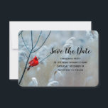 Save The Date Red Cardinal dans Winter Nature Photo de Christmas<br><div class="desc">Enregistrez la carte de date pour une fête de Noël avec une photo nature pittoresque montrant un cardinal rouge vif. Contrasté sur fond d'hiver avec feuillage couvert de neige.</div>