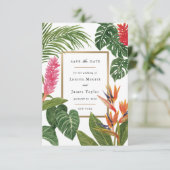 Save The Date Rêve Tropical (Debout devant)