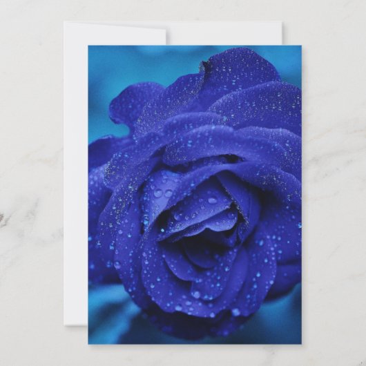 Save The Date Rose Bleu Design Mariage Enregistrer La Date (Dos)