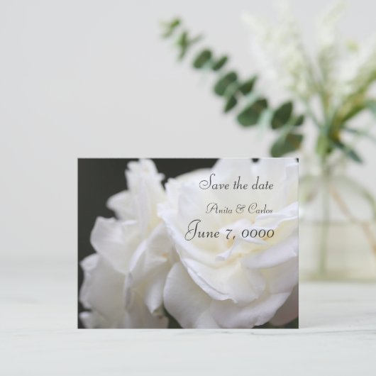 Save The Date Rose Iceberg (Debout devant)