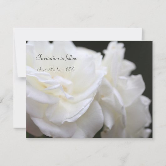 Save The Date Rose Iceberg (Dos)