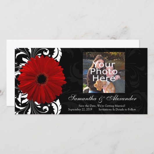 Save The Date Rouges, noirs et blancs Gerbera Daisy (Devant / Derrière)
