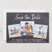 Save The Date Rustic Photo Collage animal de compagnie Chien Mar (Devant)