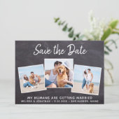 Save The Date Rustic Photo Collage animal de compagnie Chien Mar (Debout devant)