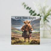 Save The Date Sonneur de cornemuse de vache des Highlands écossa (Debout devant)