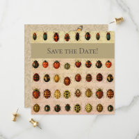 Spécimen de coccinelle vintage Motif Insecte antiq