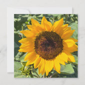 Save The Date Sunflower (Devant)