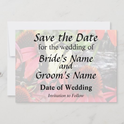 Save The Date Swallowtail on Red Coneflower (Devant)