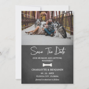Save The Date Thème de chien de photo personnalisé moderne