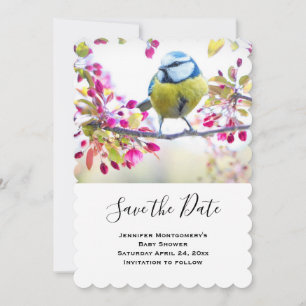 Save The Date Très jolie photo d'oiseau bleu et jaune sur une br