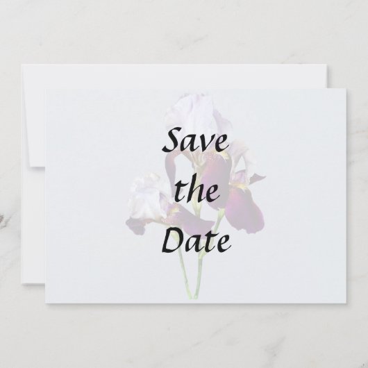 Save The Date Trois Irlandais dans les nuances de Magenta (Dos)