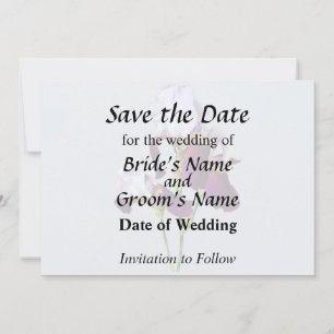 Save The Date Trois Irlandais dans les nuances de Magenta