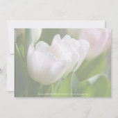 Save The Date Tulipes blanches • Annonce de sauvegarde de la dat (Dos)
