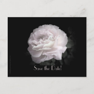 Save the Date Vow Verlengingsceremonie Bord Roze R Aankondigingskaart