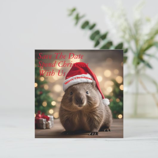 Save The Date "Wombat Wonderland : Un réveillon de Noël cosy" (Debout devant)
