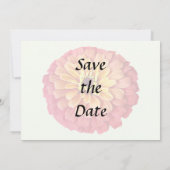 Save The Date Zinnia dans des nuances d'orange (Dos)