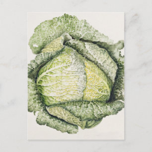 Savoy Cabbage Briefkaart