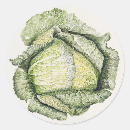 Savoy Cabbage Ronde Sticker (Voorkant)