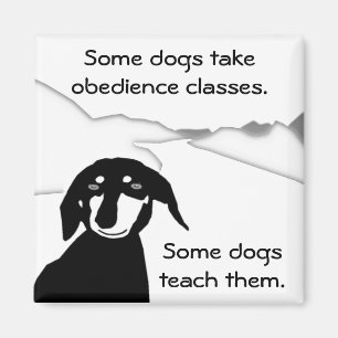 Savvy Sause Wisdom - Obedience Classes Magneet