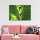 Saw Palmetto Photo Closeup Canvas Afdruk (Insitu (Woonkamer))