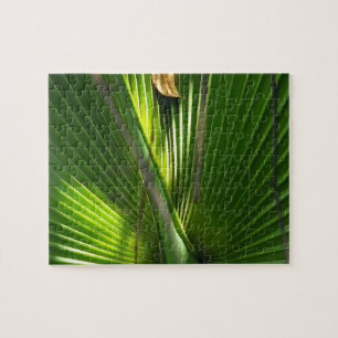 Saw Palmetto Photo Closeup Legpuzzel